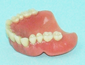 レジン床総義歯
